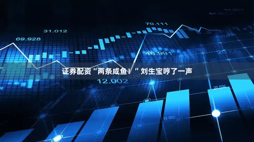证券配资“两条咸鱼！”刘生宝哼了一声