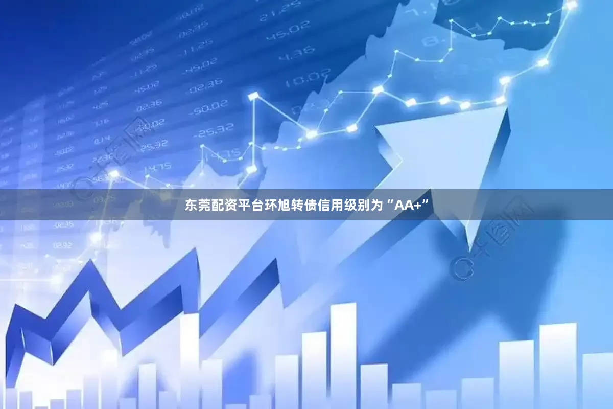 东莞配资平台环旭转债信用级别为“AA+”