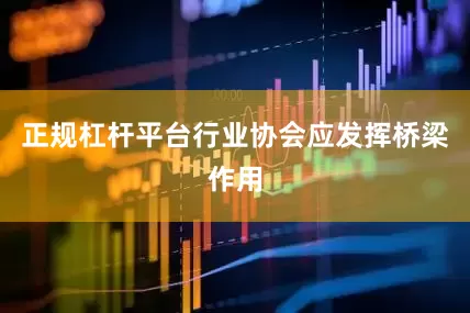 正规杠杆平台行业协会应发挥桥梁作用