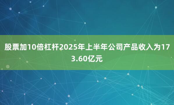 股票加10倍杠杆2025年上半年公司产品收入为173.60亿元