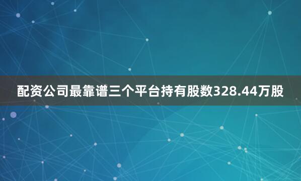 配资公司最靠谱三个平台持有股数328.44万股