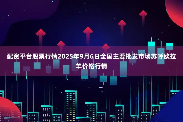 配资平台股票行情2025年9月6日全国主要批发市场苏呼欧拉羊价格行情